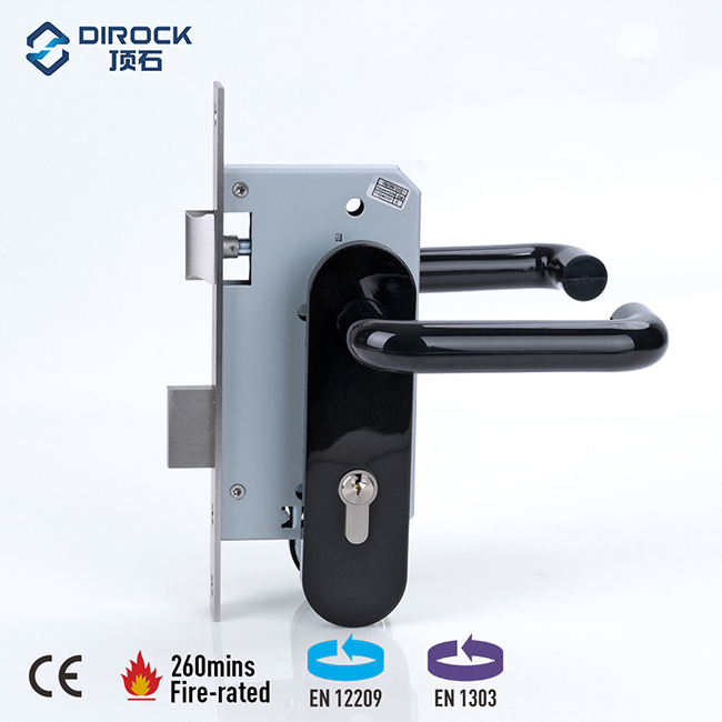 Griff mit Nylon-Rückplatte + Einsteckschloss + Knauf-Profilzylinder