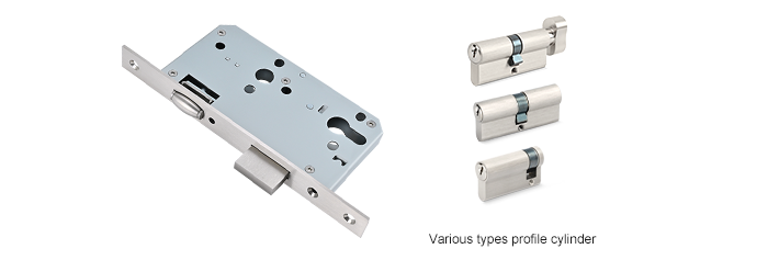 Verschiedene Profilzylinder f&uuml;r Rollenriegel-Einsteckschloss